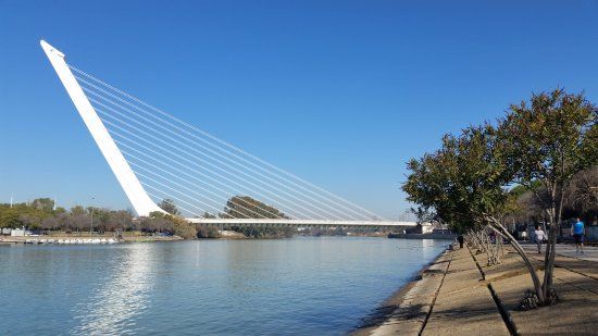 Alamillobrug